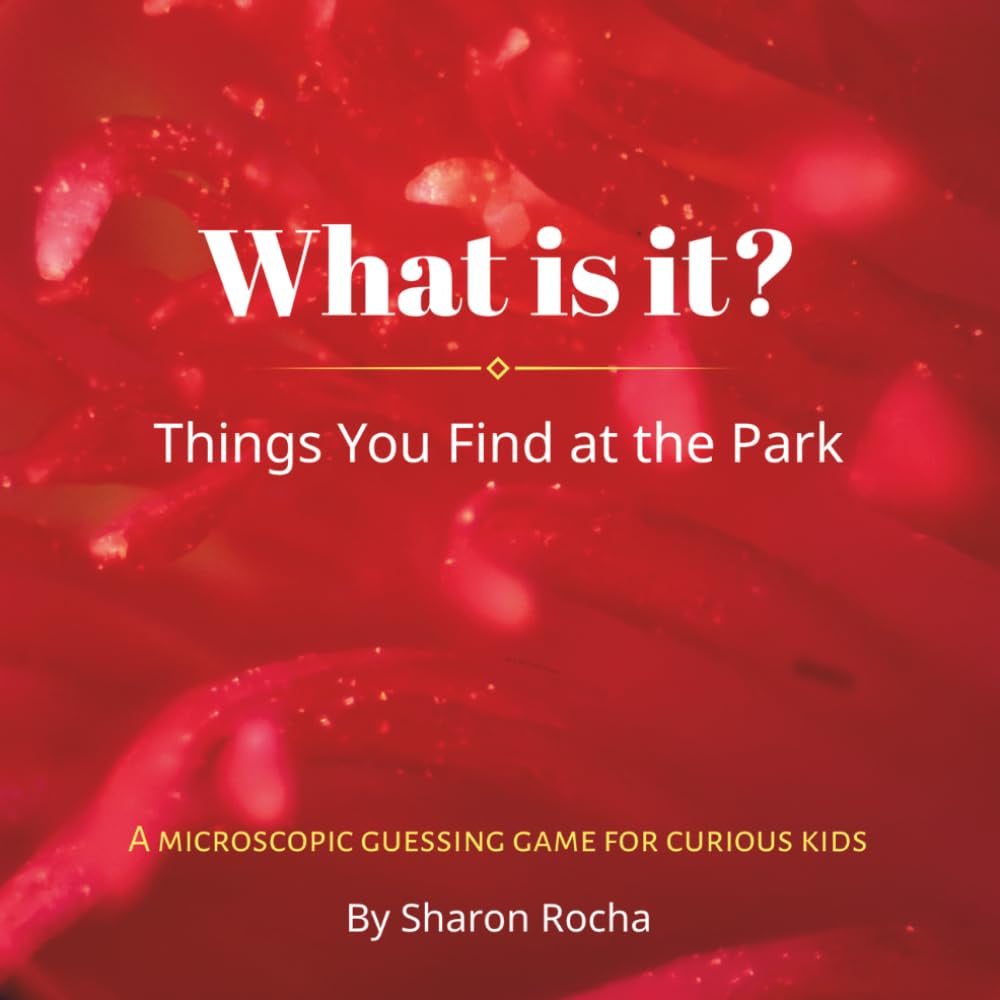 What Is It?: Things You Find at the Park