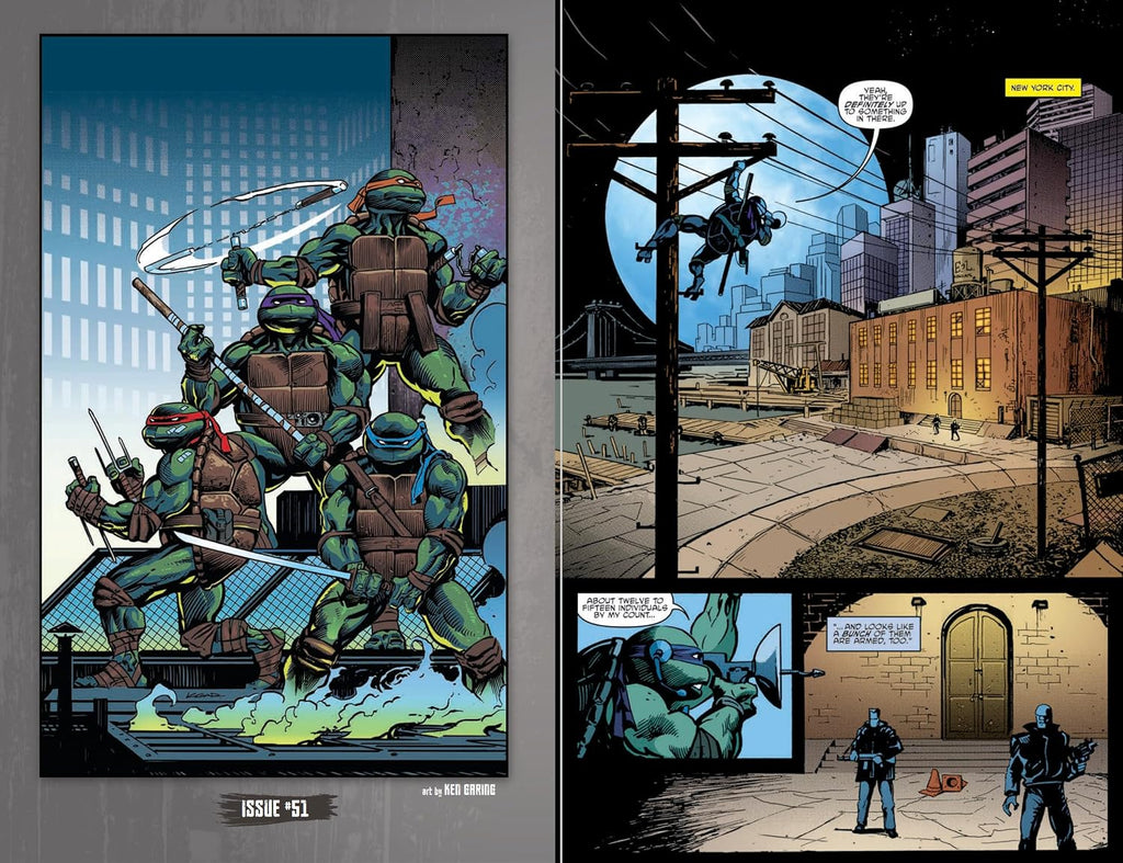 Teenage Mutant Ninja Turtles: The IDW Collection Volume 7