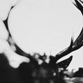 IHSAHN Orchestral Version