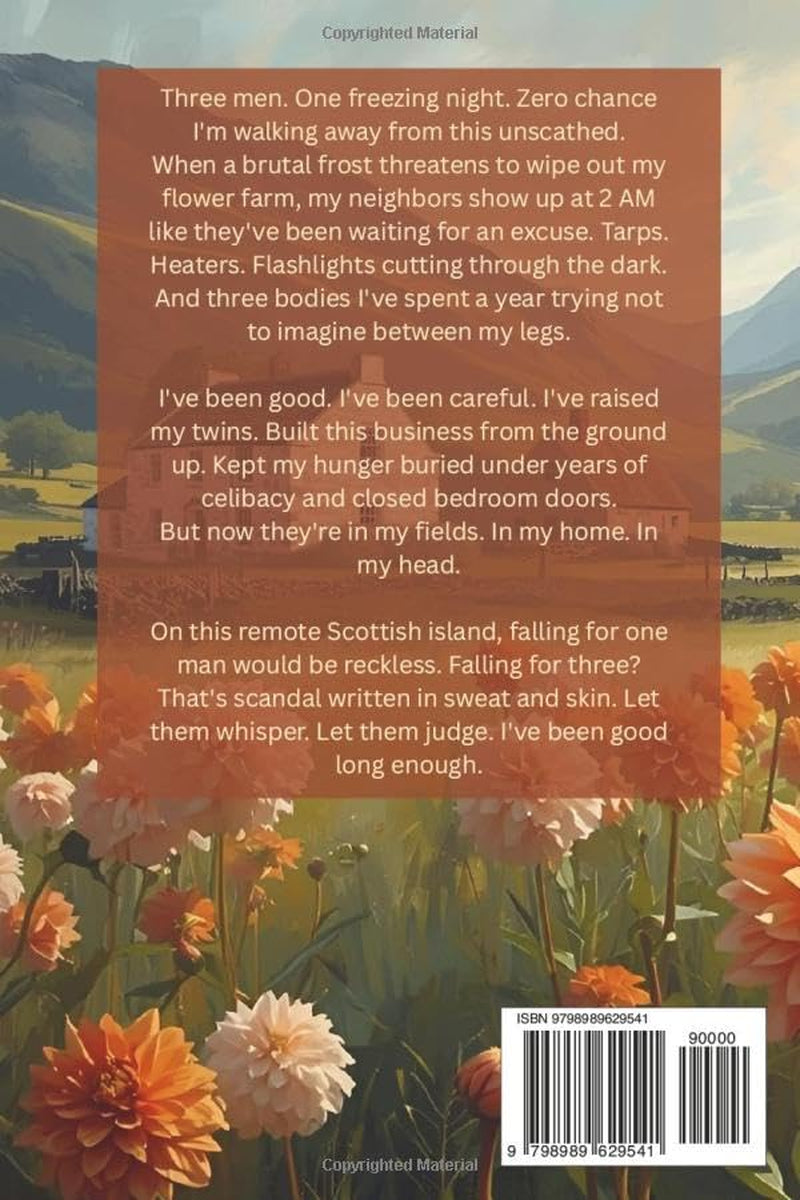 Lorna: A Standalone Why Choose Romance (Love Sequence)