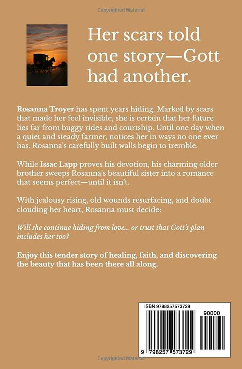 Behind Her Amish Scars (Hidden Amish Love Series)