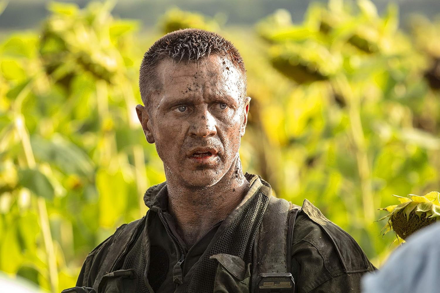 Jarhead: Law of Return [Blu-ray]