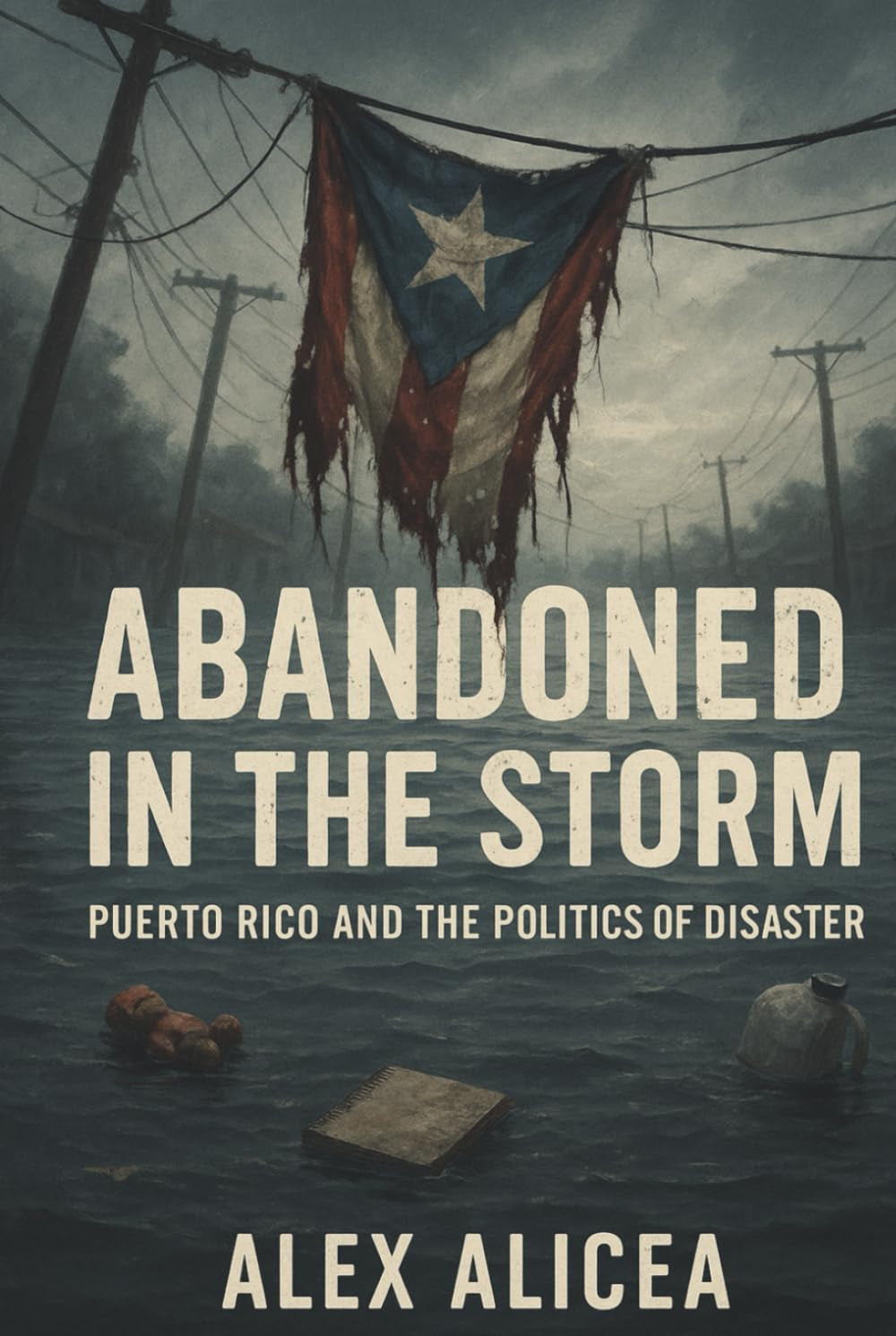 Abandoned in the Storm: Puerto Rico and the Politics of Disaster (History Of Puerto Rico)