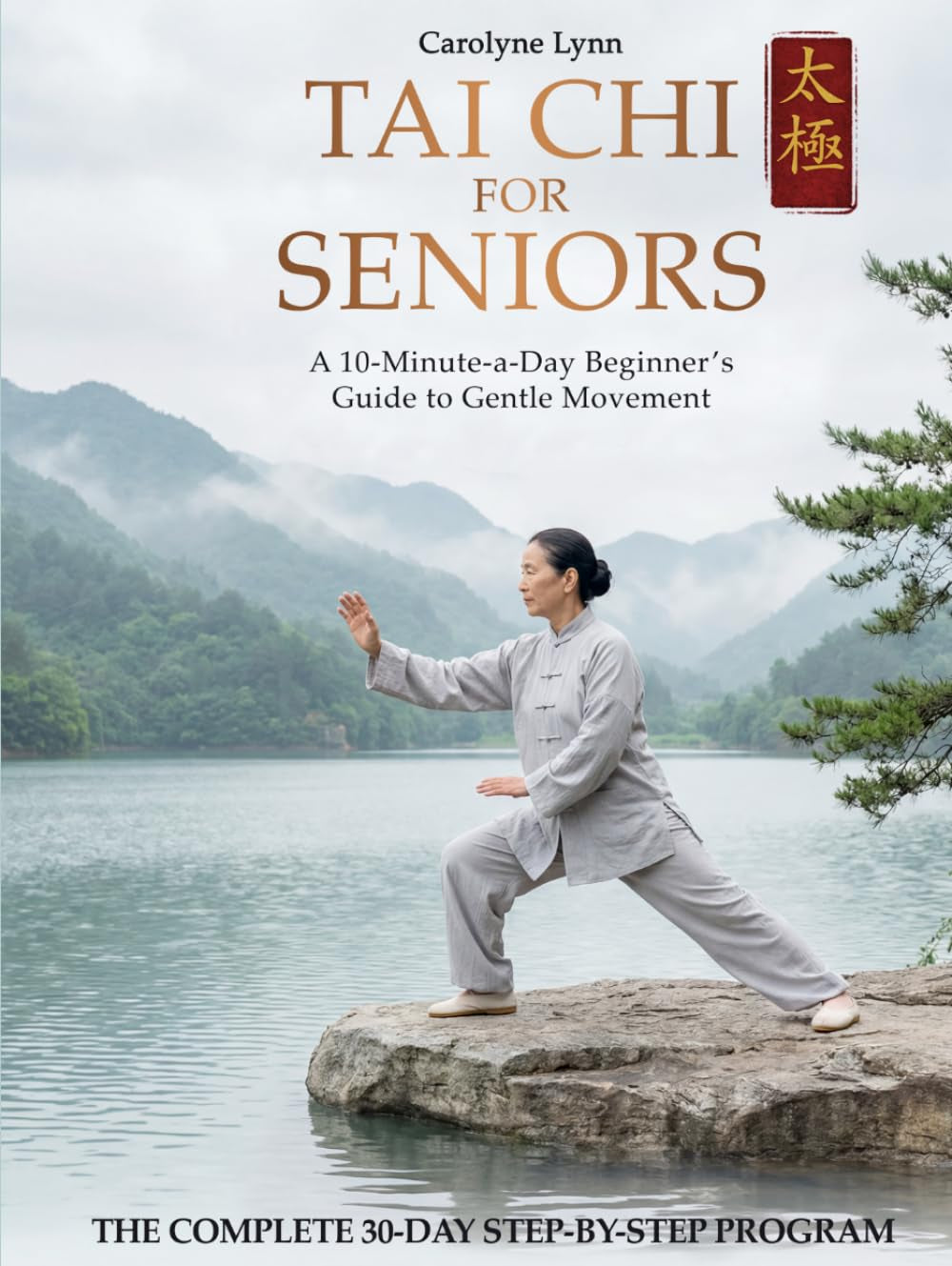 Tai Chi for Seniors: The Complete 10-Min-a-Day Beginners Martial Arts & Indoor Walking Workout Exercises Book for Weight Loss , Arthritis Relief , Balance & Mobility | Includes Printable Tai Chi Chart