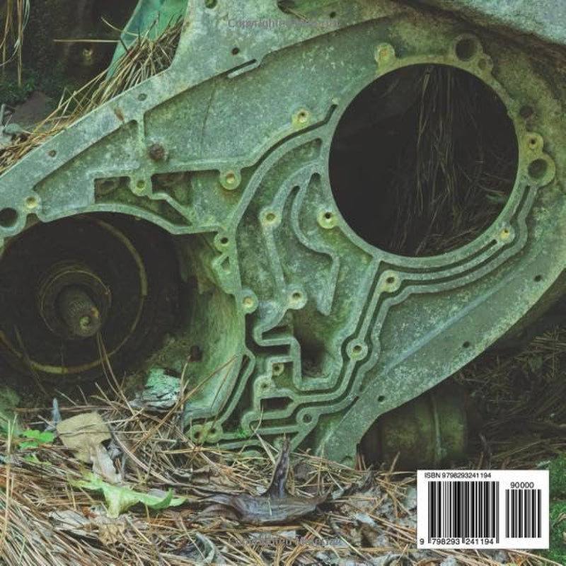 The Reclamation Zine: A Contemplative Photography Journey Through Rust and Renewal