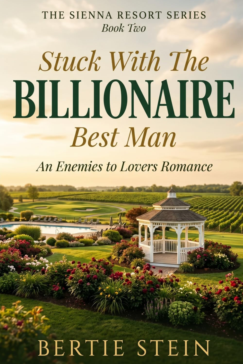 Stuck With The Billionaire Best Man: A Brother's Best Friend, Enemies To Lovers Romance (The Sienna Resort Series)
