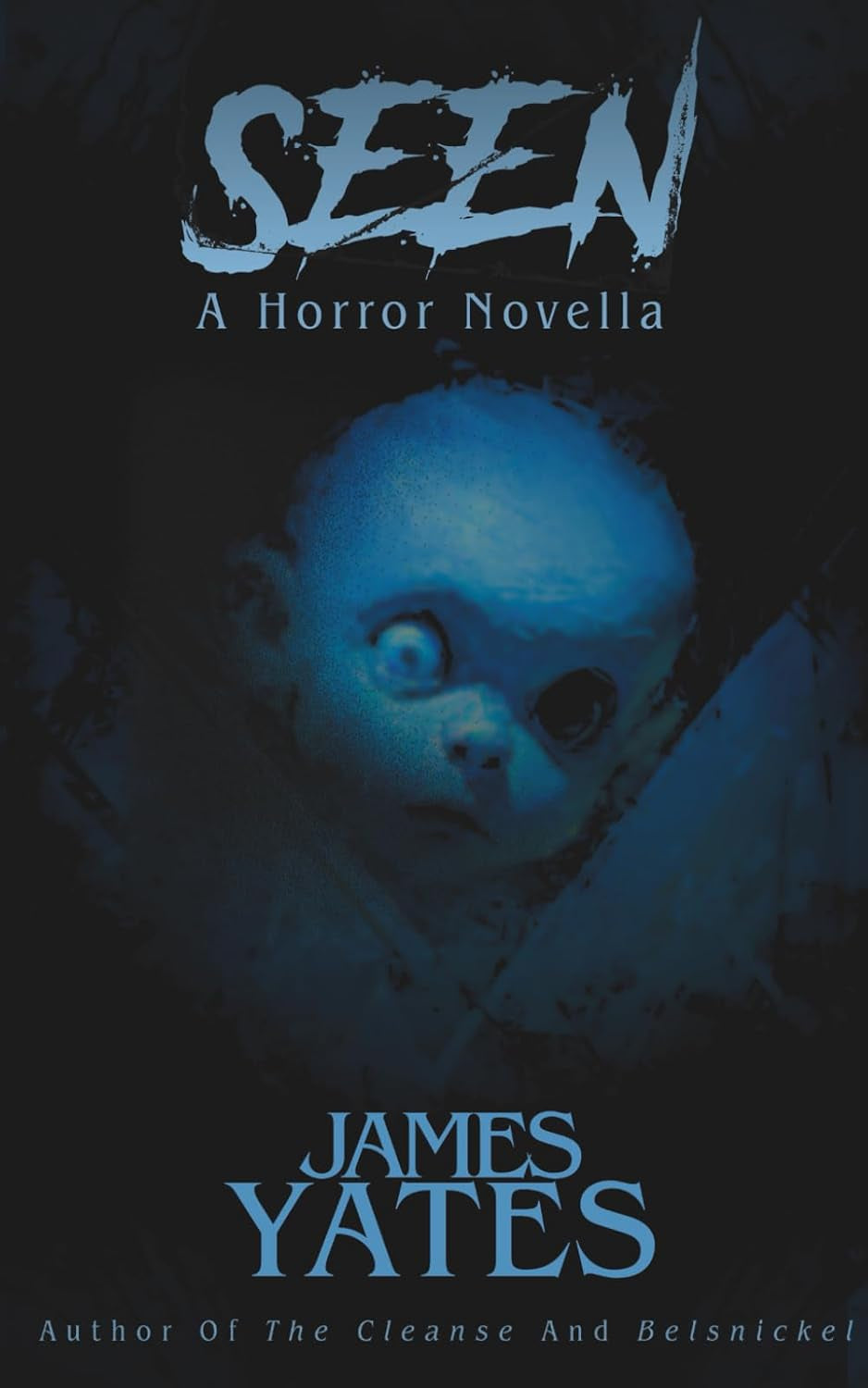 Seen: A Horror Novella