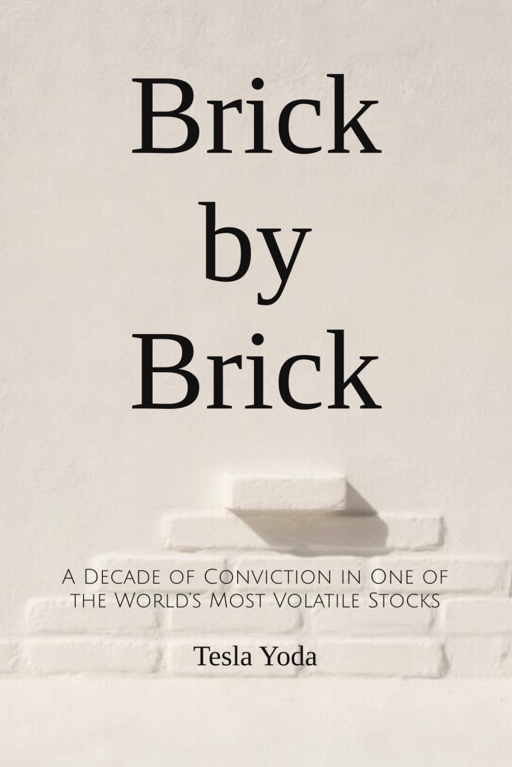 Brick by Brick: A Decade of Conviction in One of the World’s Most Volatile Stocks