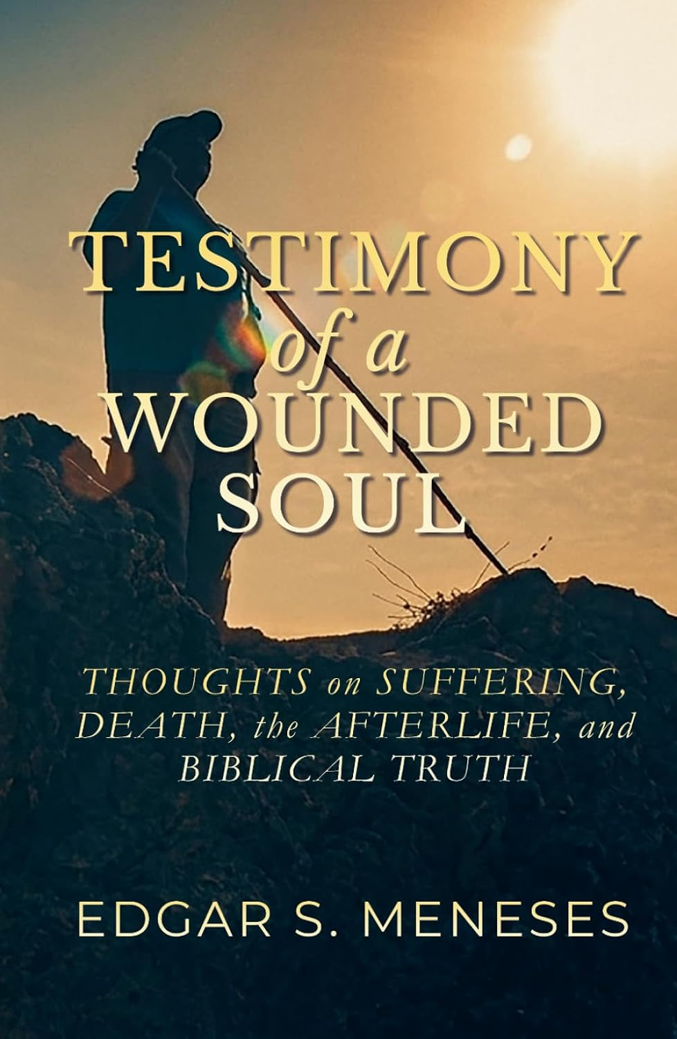 Testimony of a Wounded Soul: Thoughts on Suffering, Death, the Afterlife, and Biblical Truth