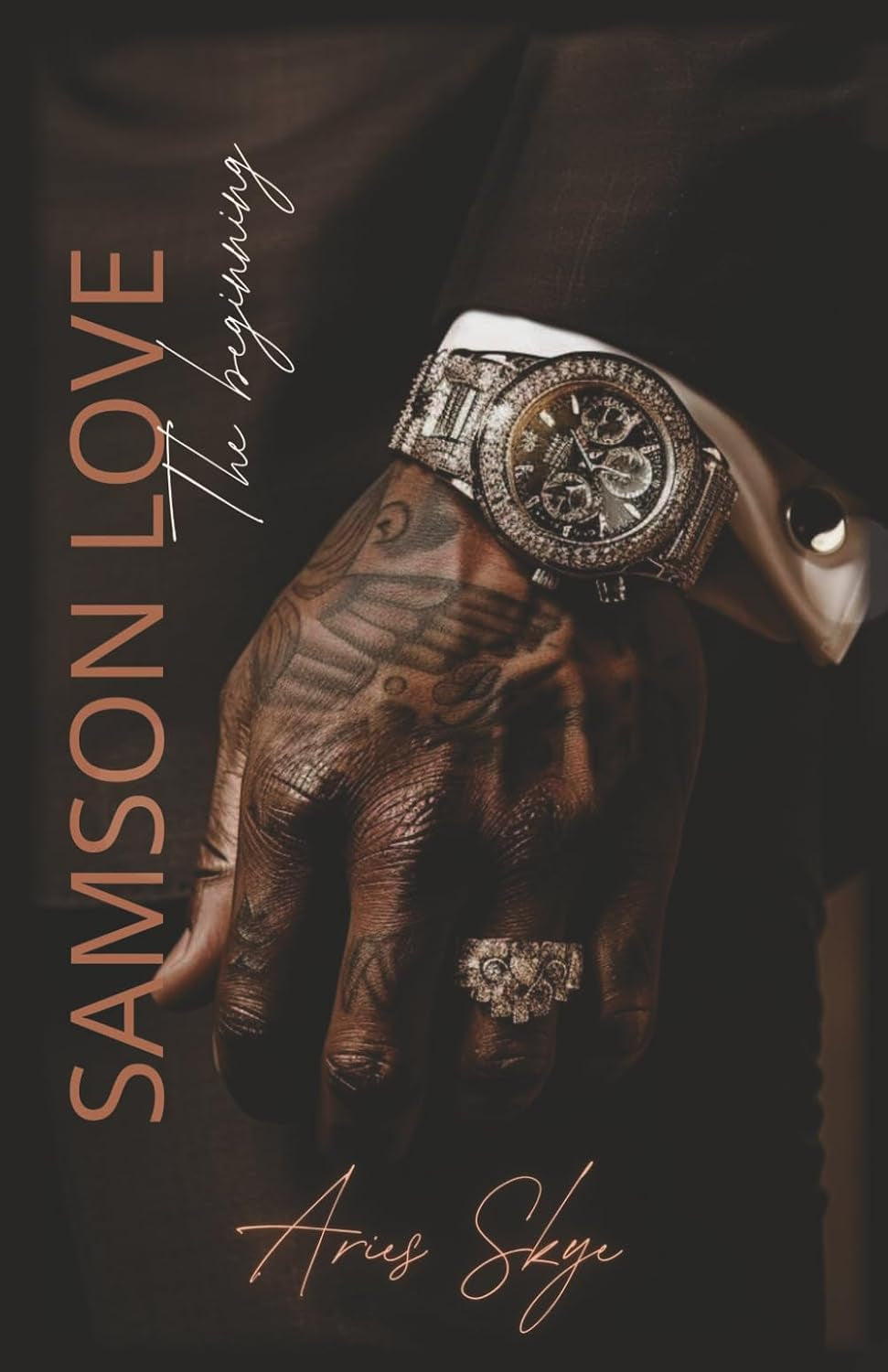 SAMSON LOVE: The Beginning (Love Brothers)