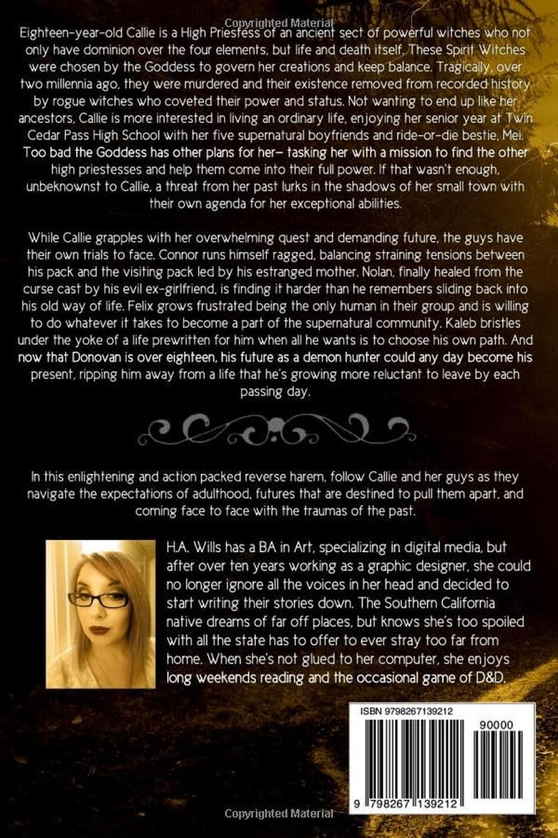 Brave Spirit: Book Six of The Bound Spirit Series