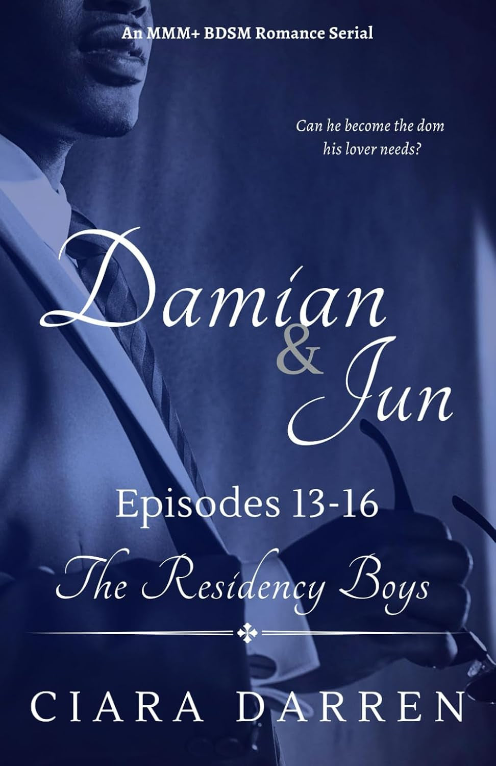 Damian & Jun: Episodes 13-16: An MMM+ BDSM Romance (The Residency Boys)