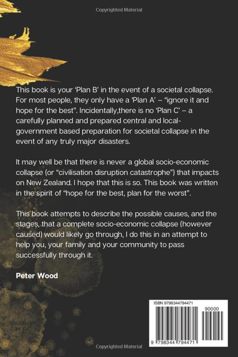 Societal Collapse in New Zealand: The First Year