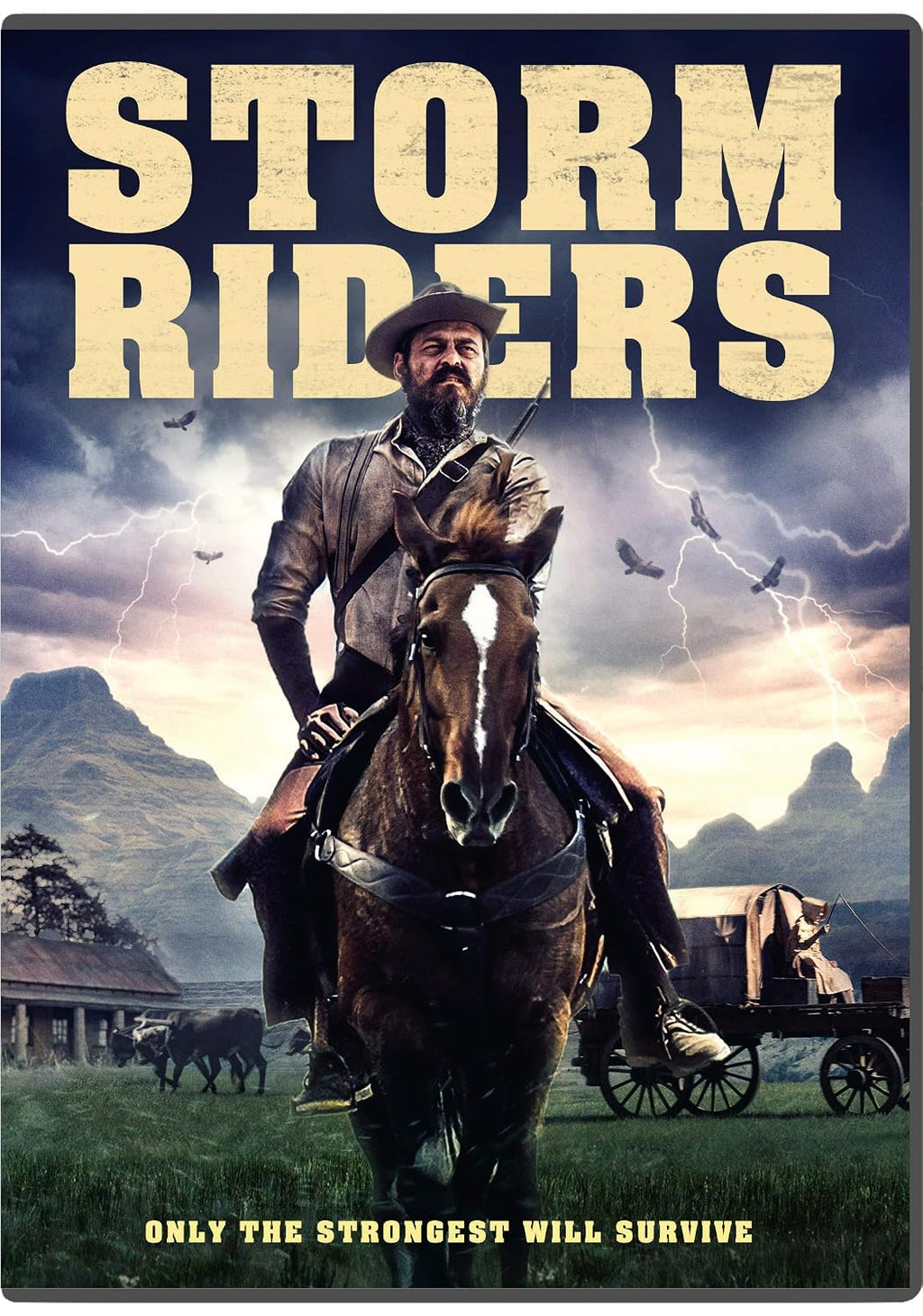 STORM RIDERS DVD