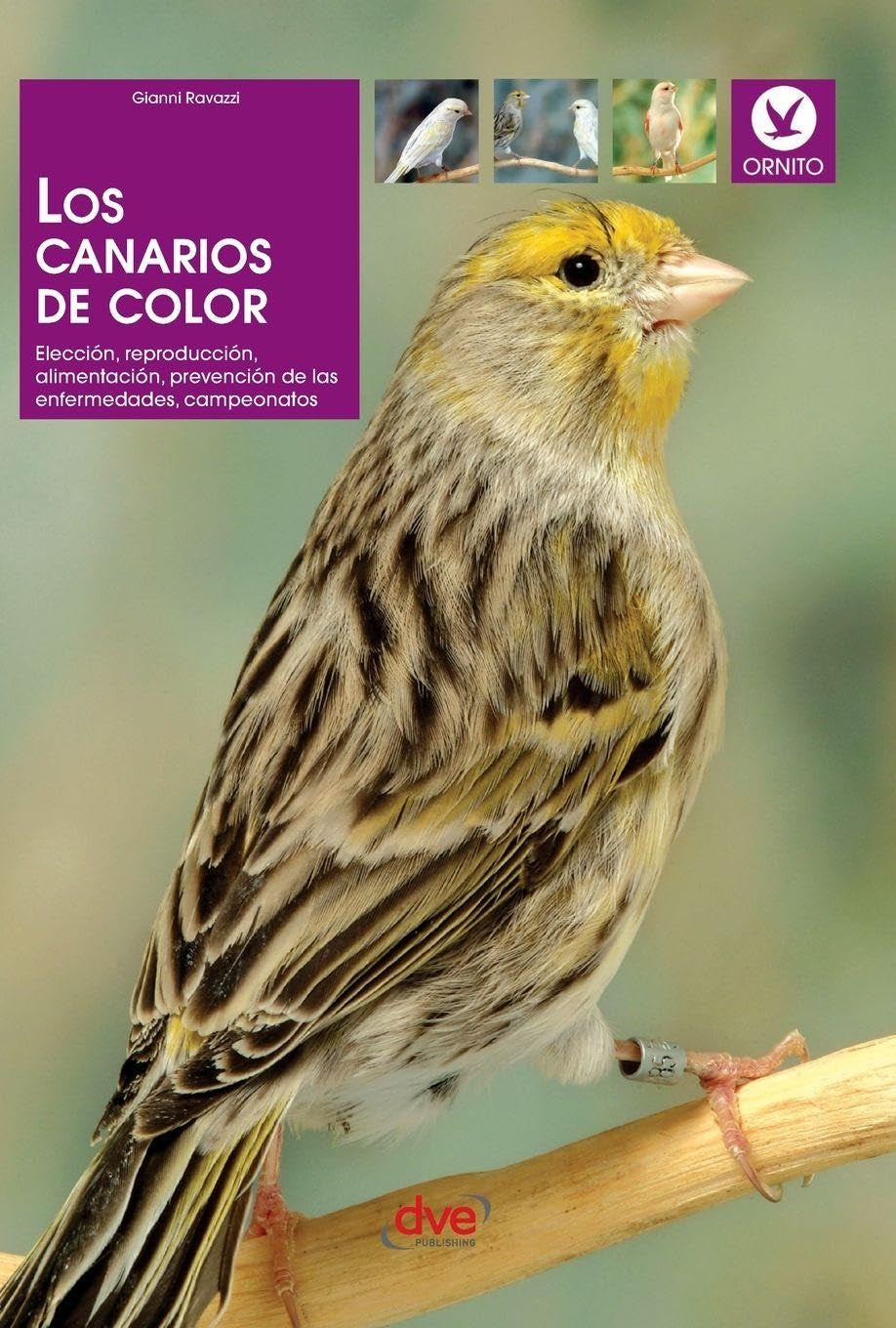 Los canarios de color: Elección, reproducción, alimentación, prevención de las enfermedades, campeonatos (Spanish Edition)