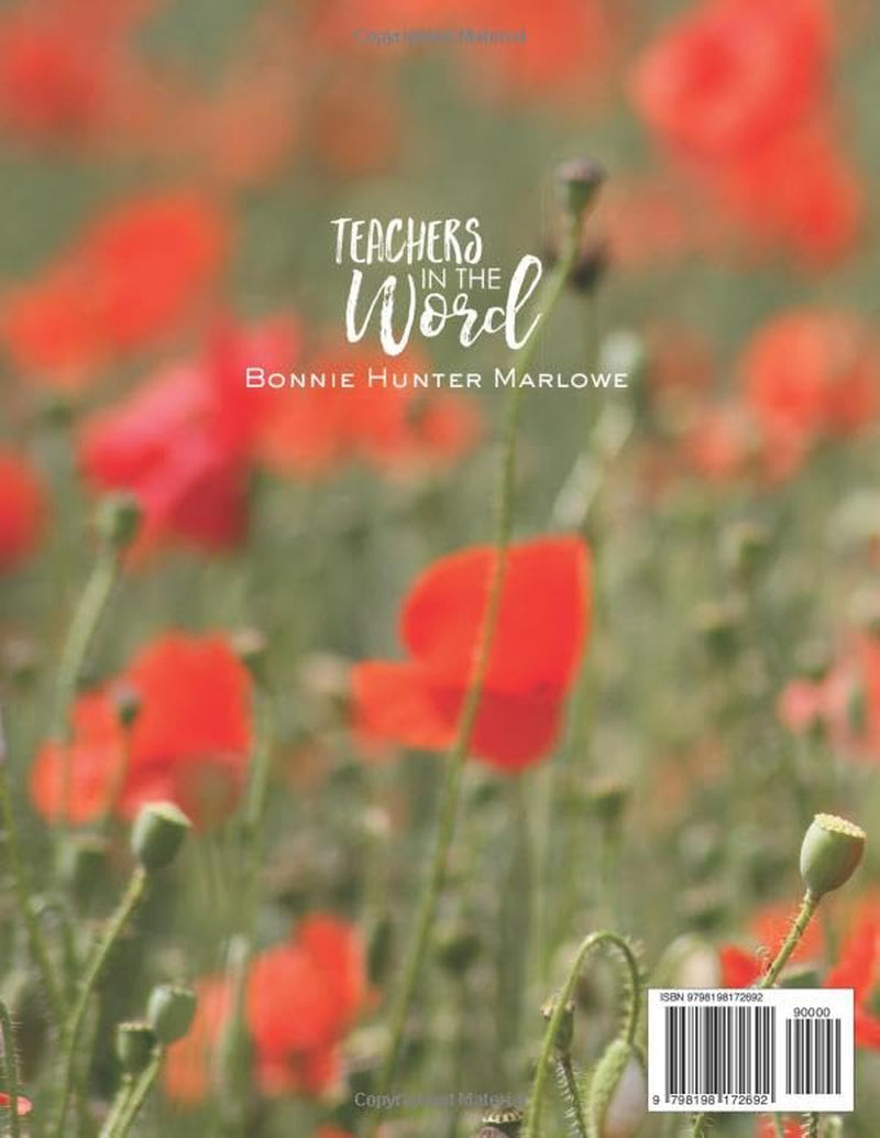 Faithful in the Noise: Bible Study Through 1 and 2 Timothy