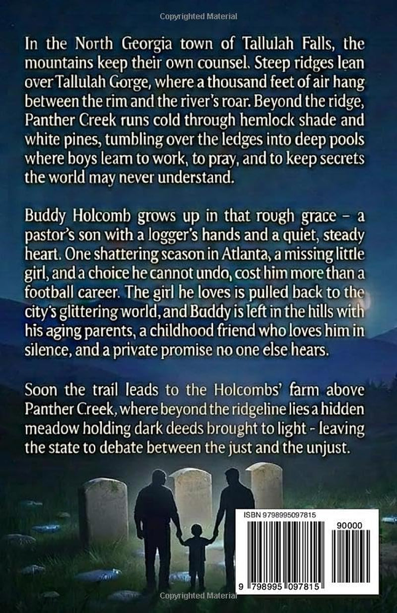 Meadow of Stones: A story of a man’s faith and love - promised and presented