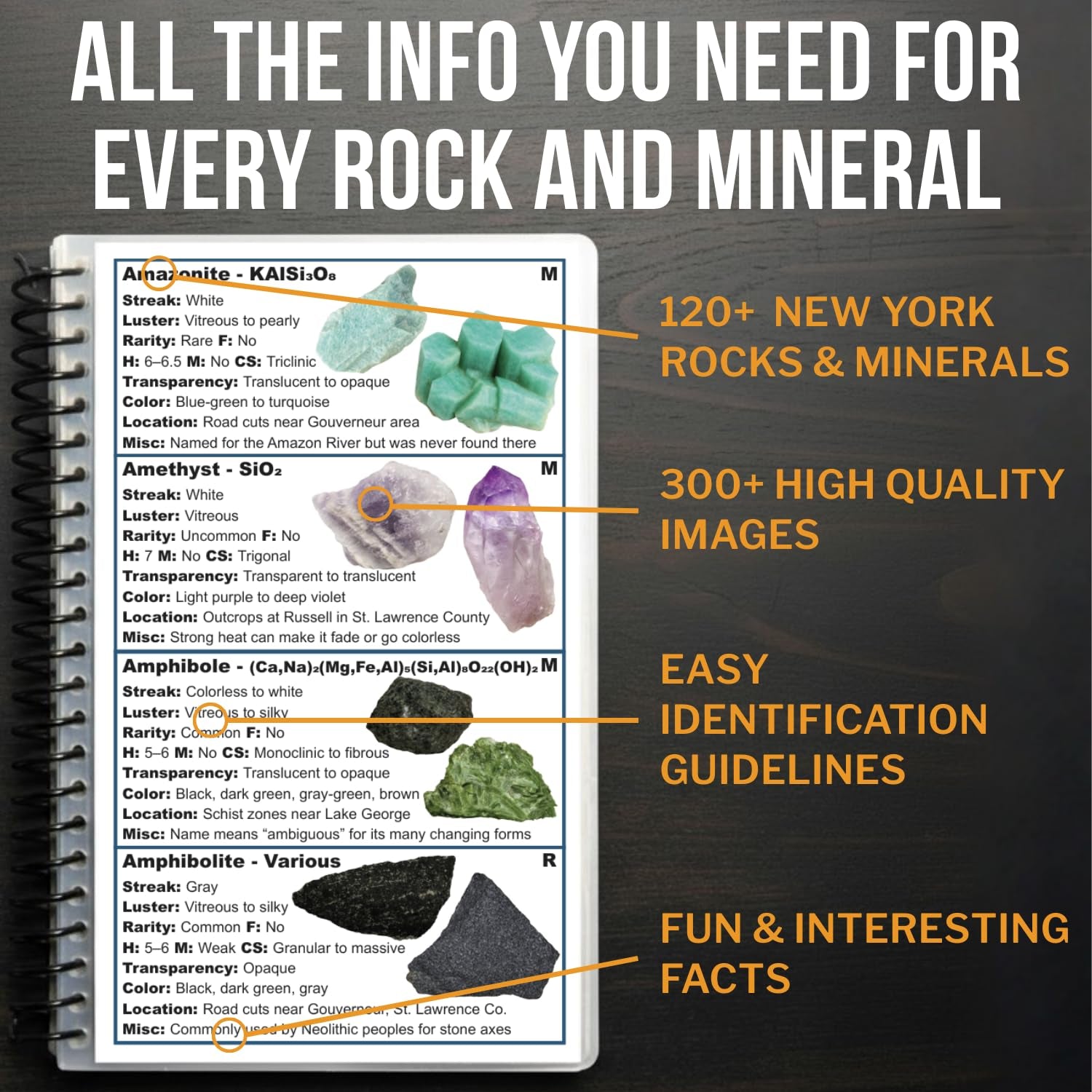 New York Rocks and Minerals Identification Field Guide | Waterproof | Easily Find & Identify New York Rocks, Minerals, Crystals, and Gems | Ideal for Rockhounds, Hikers, Beginners & Kids