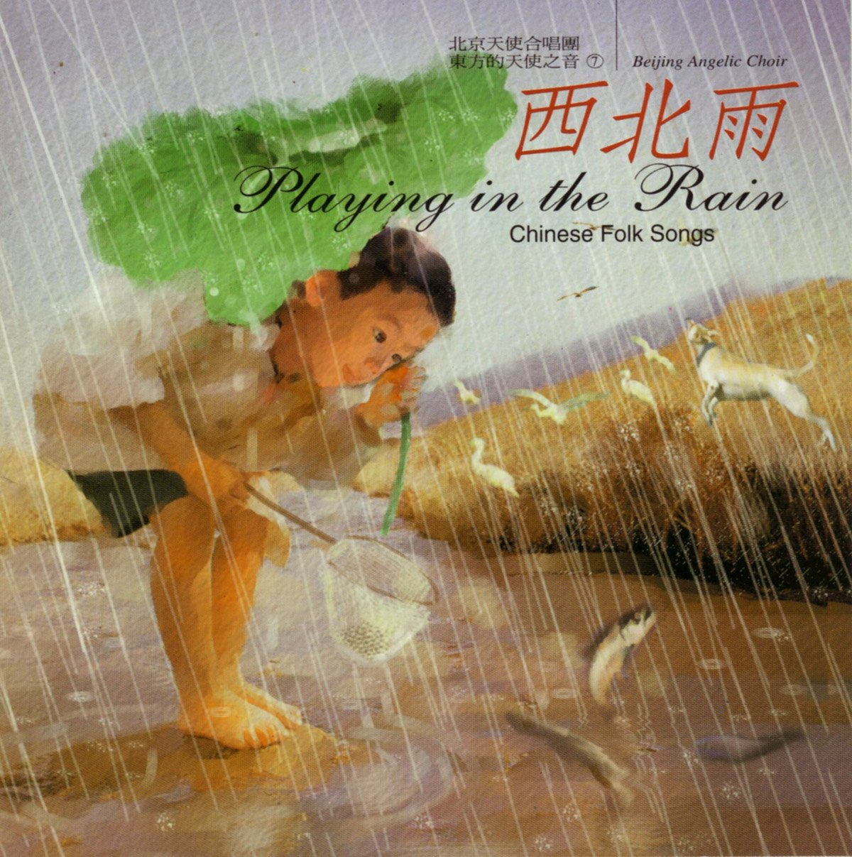 Playing in the Rain
